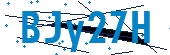 recaptcha
